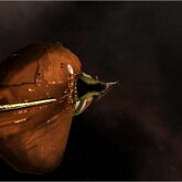 07467
